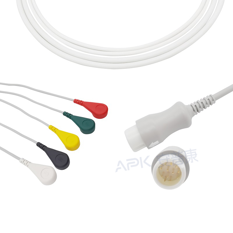 Types of Leads ECG